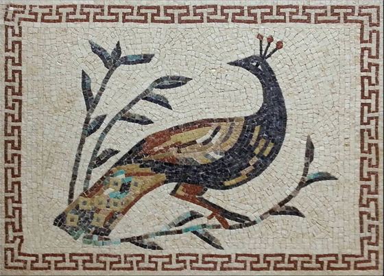Mosaic of a peacock with a Greek key border