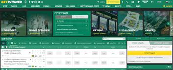 Discover the Excitement of BetWinner Casino