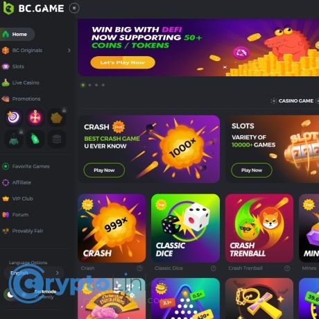 Unlocking Thrills Exploring BC.Game Bonus Offers
