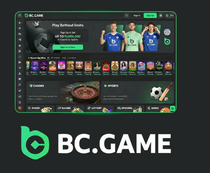 Exploring BC.Game A Comprehensive Guide to the Online Gaming Platform
